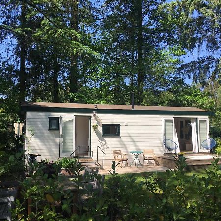 Sfeervol Vakantiehuisje In Bosrijke Omgeving Vorden Eksteriør bilde